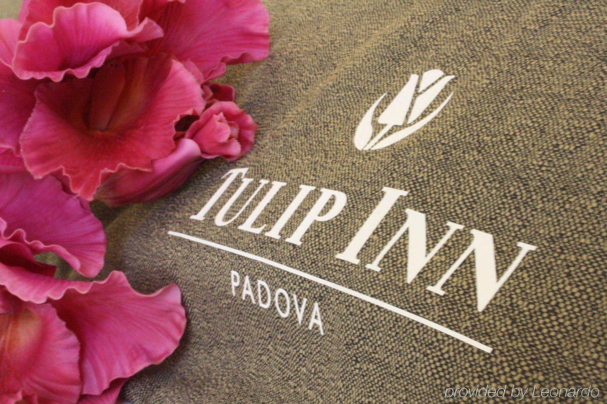 Tulip Padova